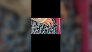 Rolo de coleta HP 1010