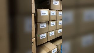 Conjunto de rolo de transferência original Xerox 019K16290